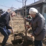 OLYMPUS DIGITAL CAMERA