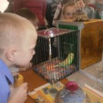 OLYMPUS DIGITAL CAMERA