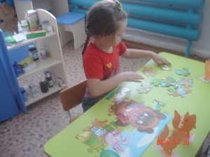 dsc00176-%d0%ba%d0%be%d0%bf%d0%b8%d1%8f